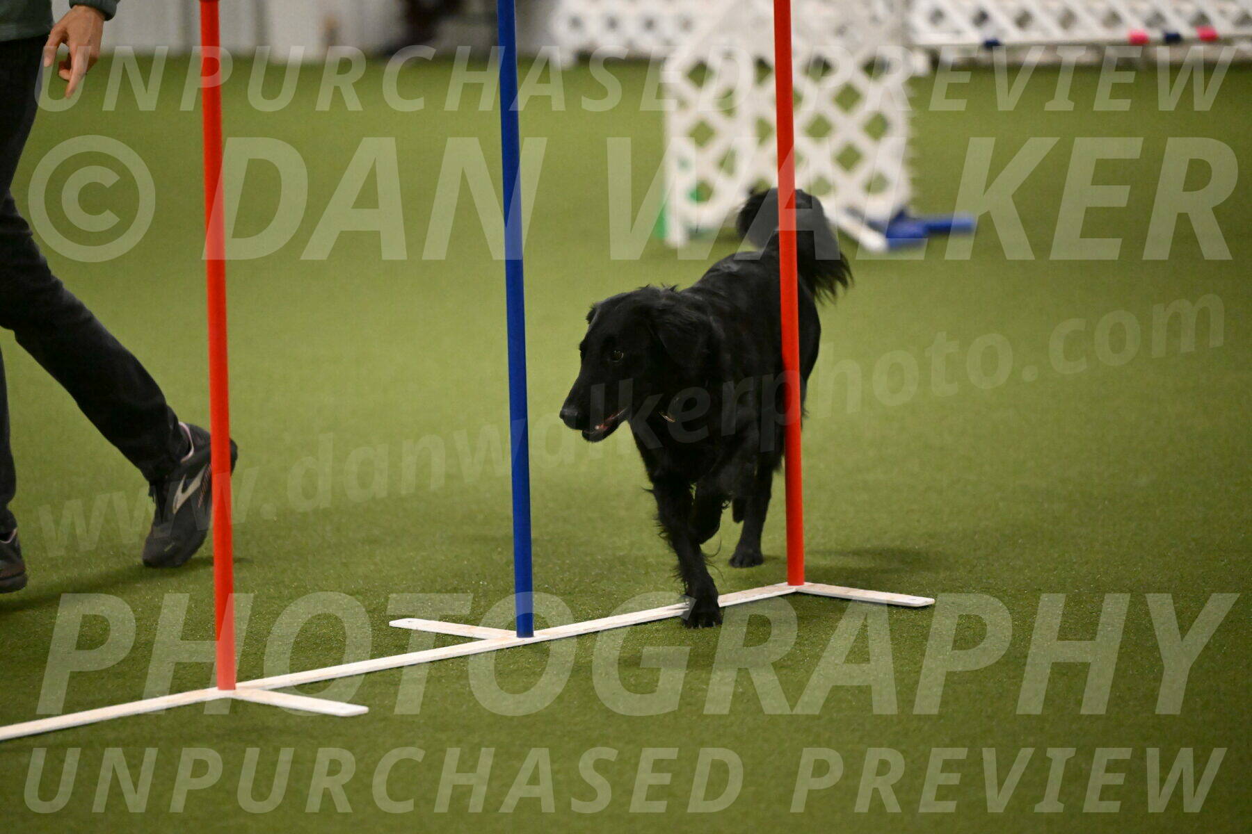 Zinnia-Deborah-Ting-03195