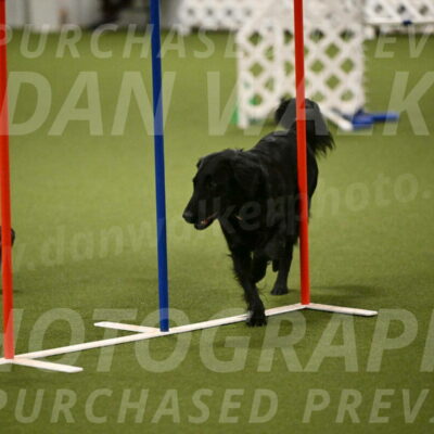 Zinnia-Deborah-Ting-03195