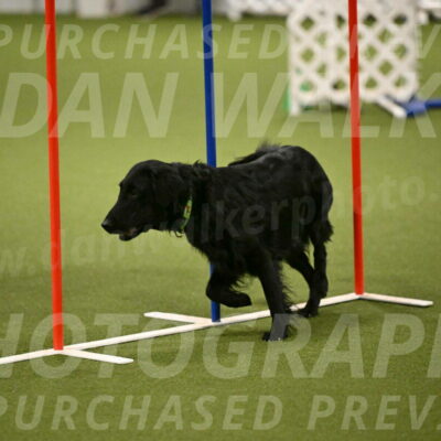 Zinnia-Deborah-Ting-03196