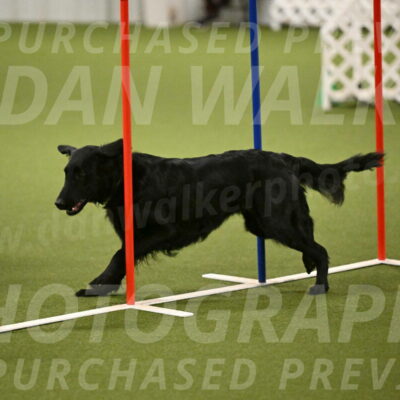 Zinnia-Deborah-Ting-03197