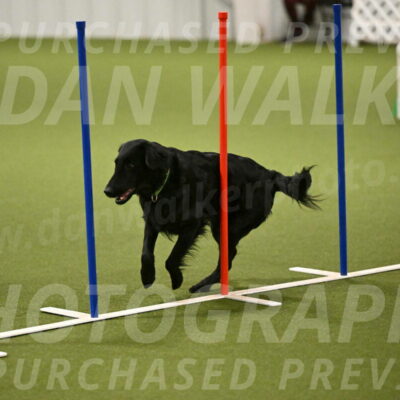 Zinnia-Deborah-Ting-03198