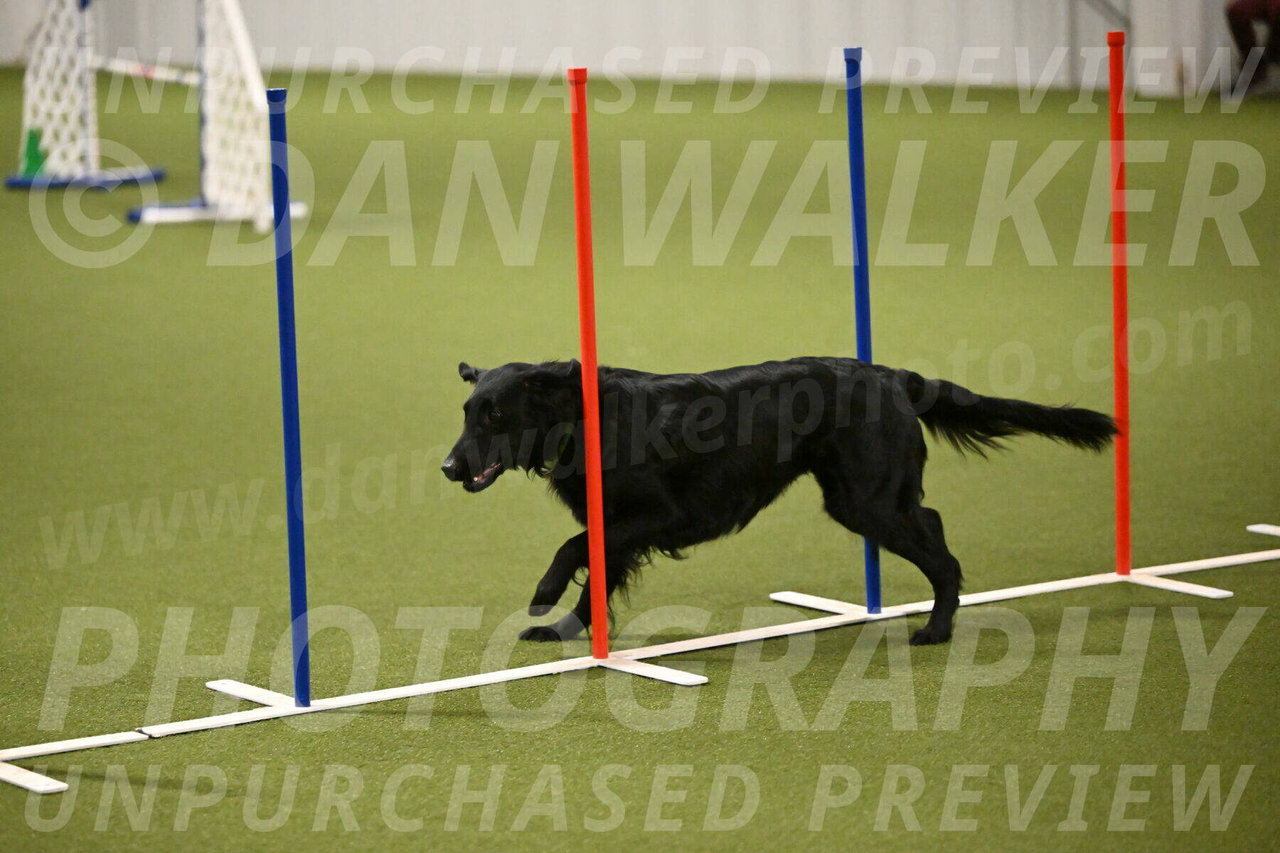 Zinnia-Deborah-Ting-03199