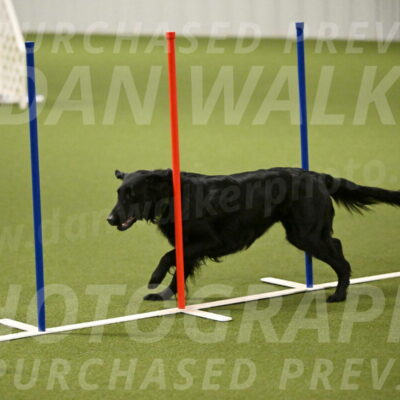 Zinnia-Deborah-Ting-03199