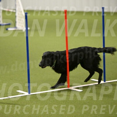 Zinnia-Deborah-Ting-03200