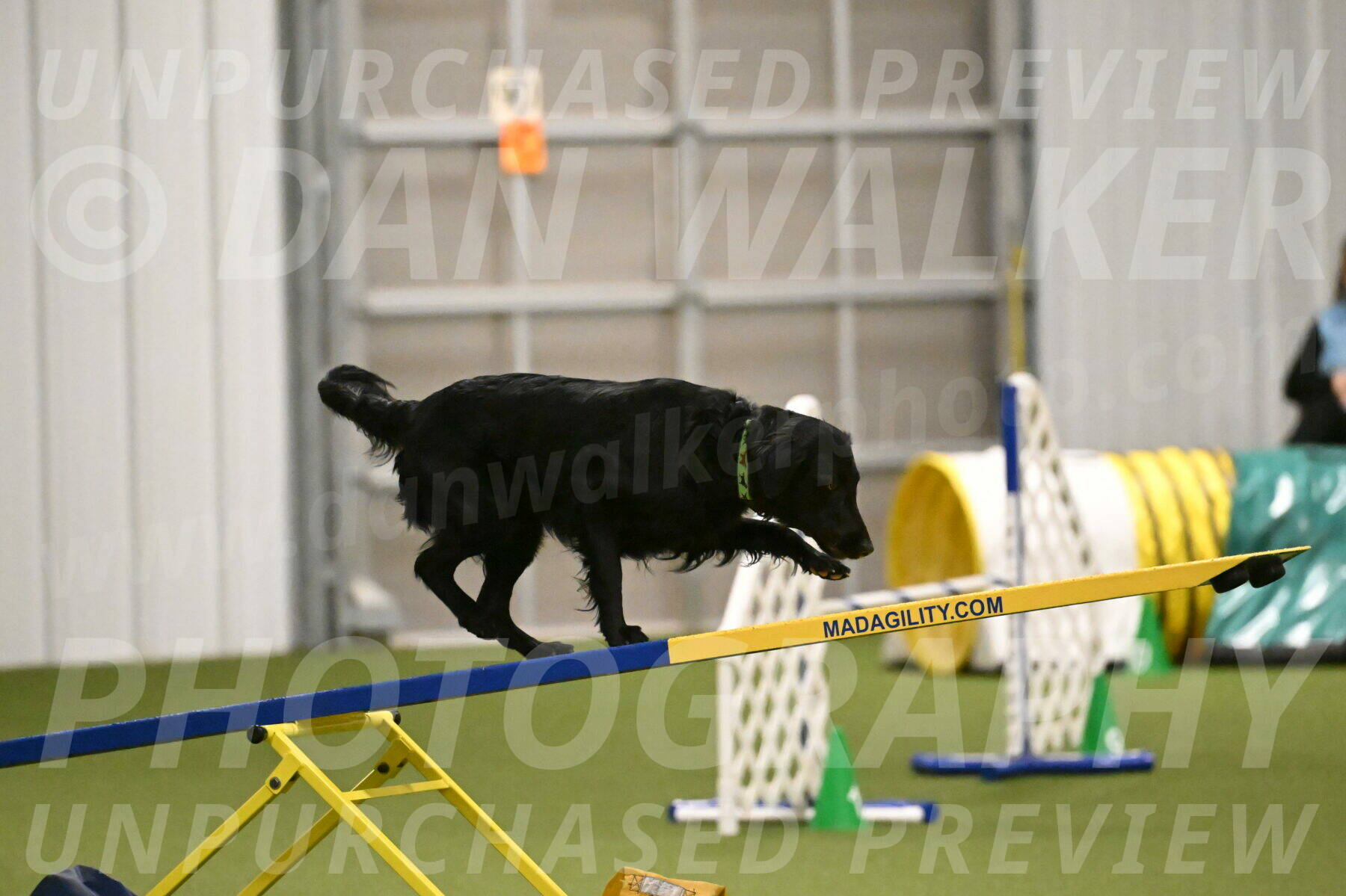 Zinnia-Deborah-Ting-03201