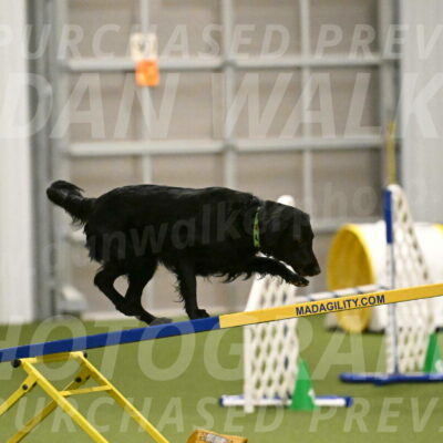 Zinnia-Deborah-Ting-03201