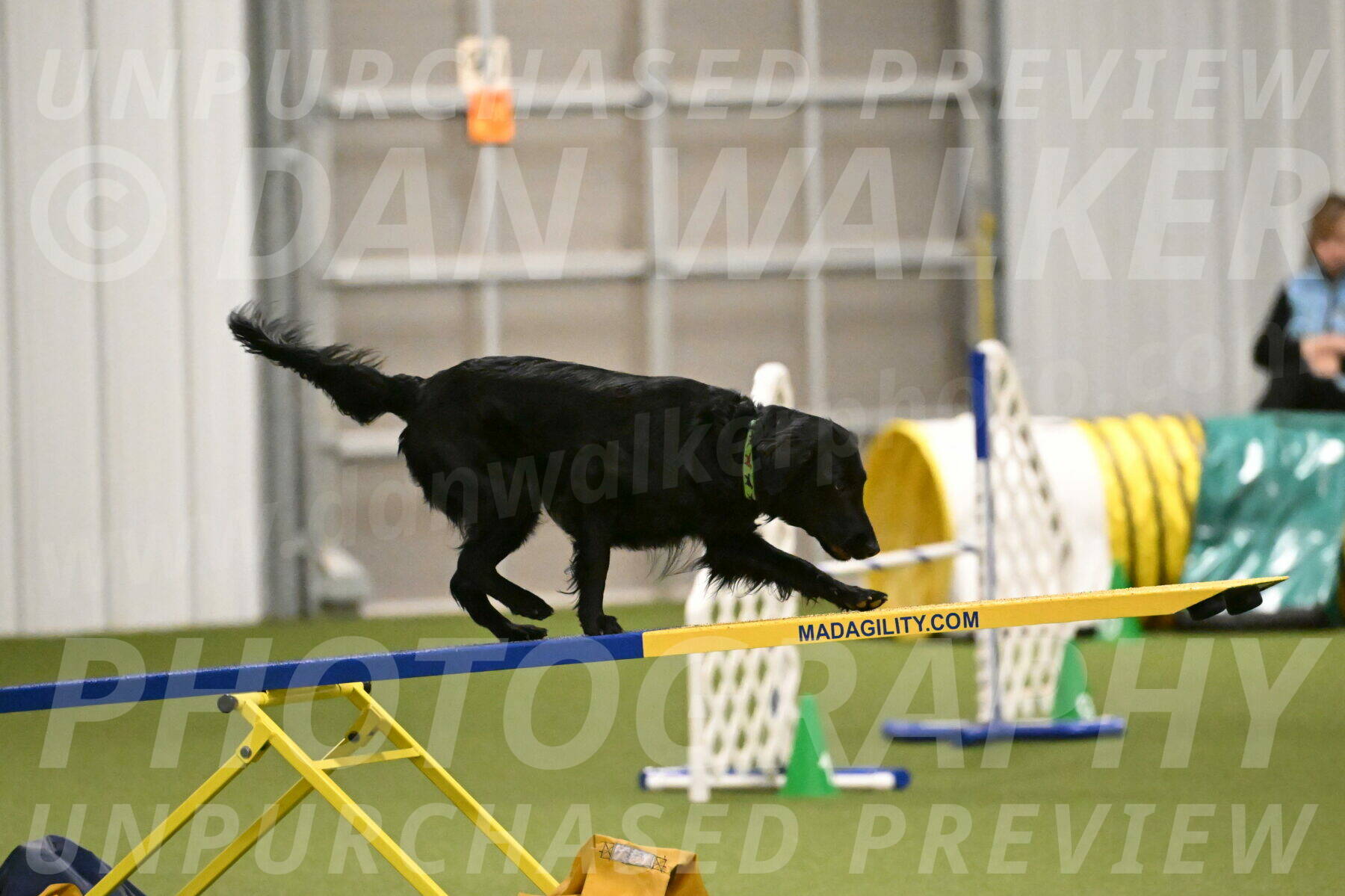 Zinnia-Deborah-Ting-03202