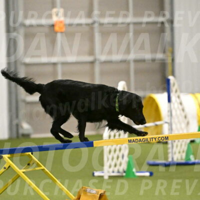 Zinnia-Deborah-Ting-03202