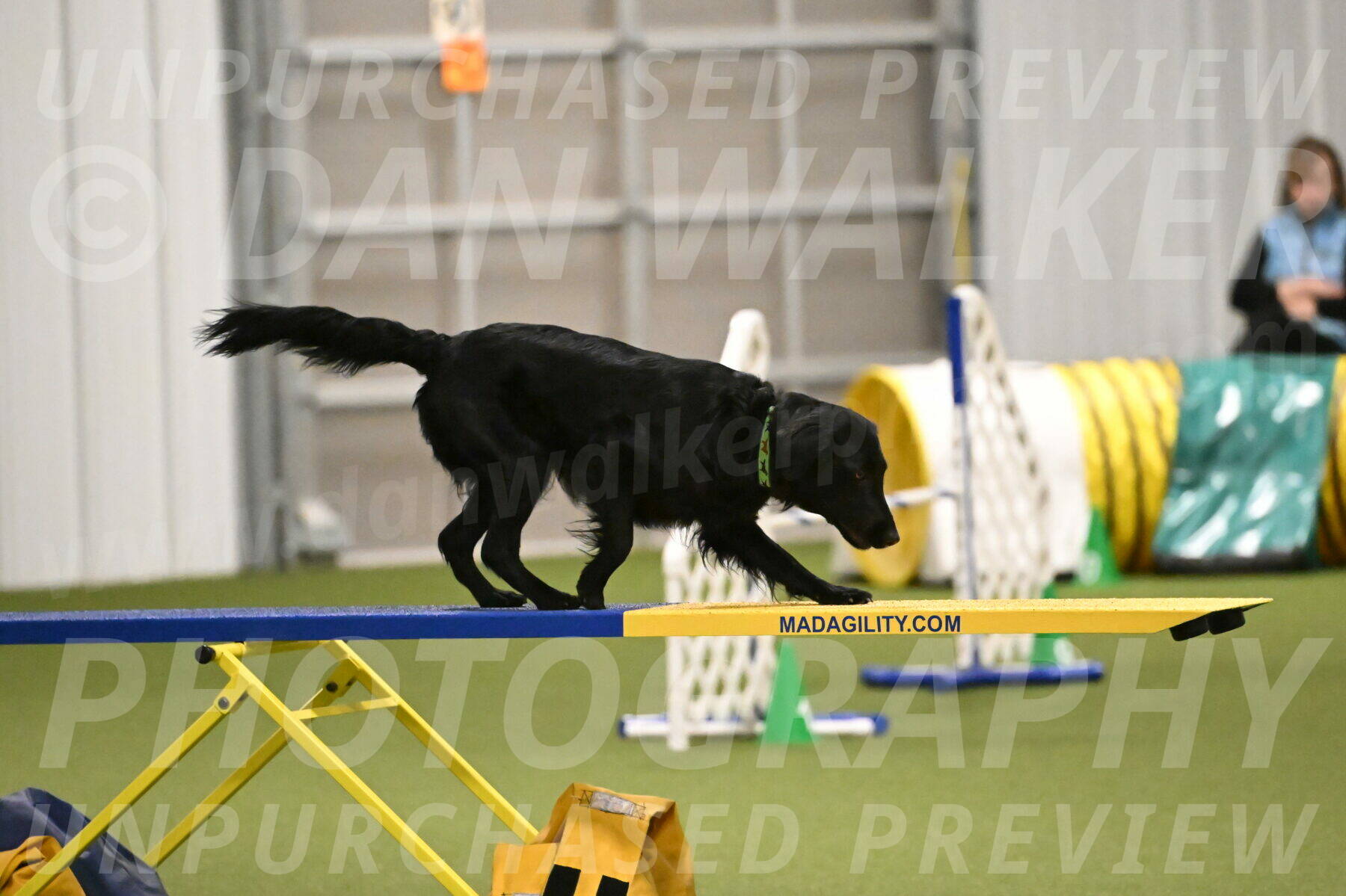 Zinnia-Deborah-Ting-03203