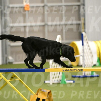 Zinnia-Deborah-Ting-03203