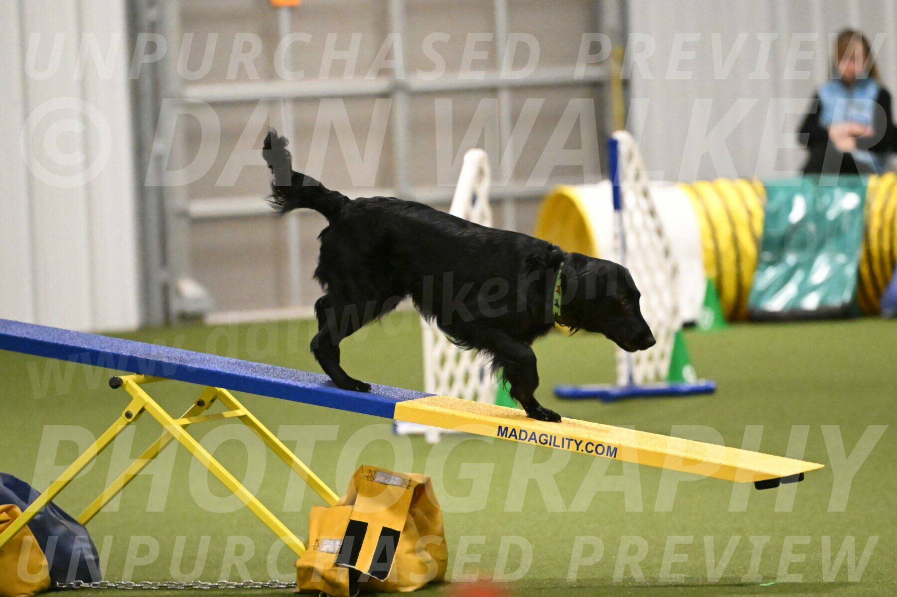 Zinnia-Deborah-Ting-03204