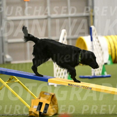 Zinnia-Deborah-Ting-03204