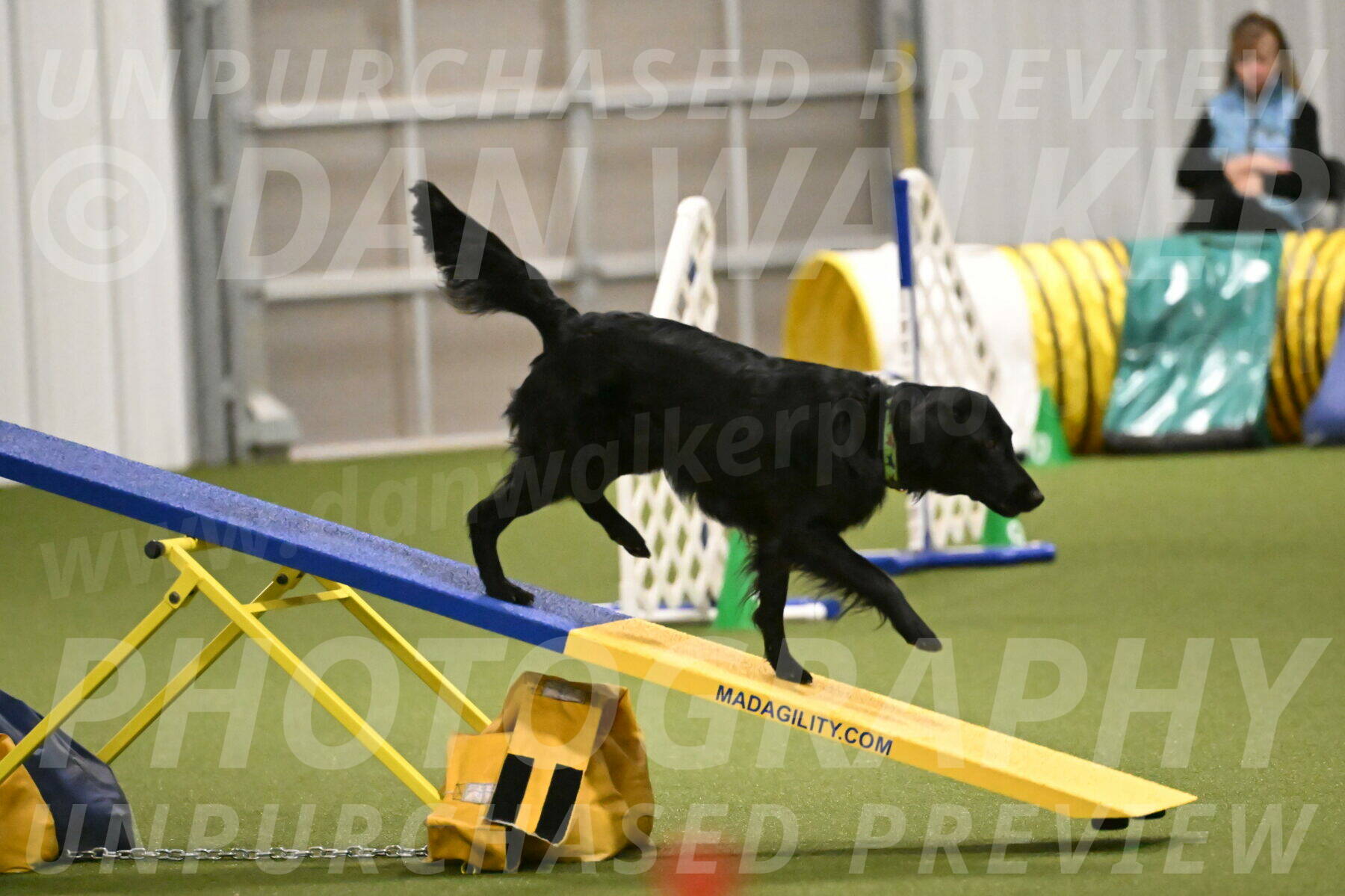 Zinnia-Deborah-Ting-03205