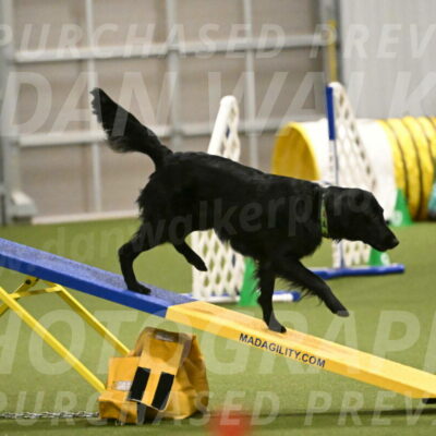 Zinnia-Deborah-Ting-03205