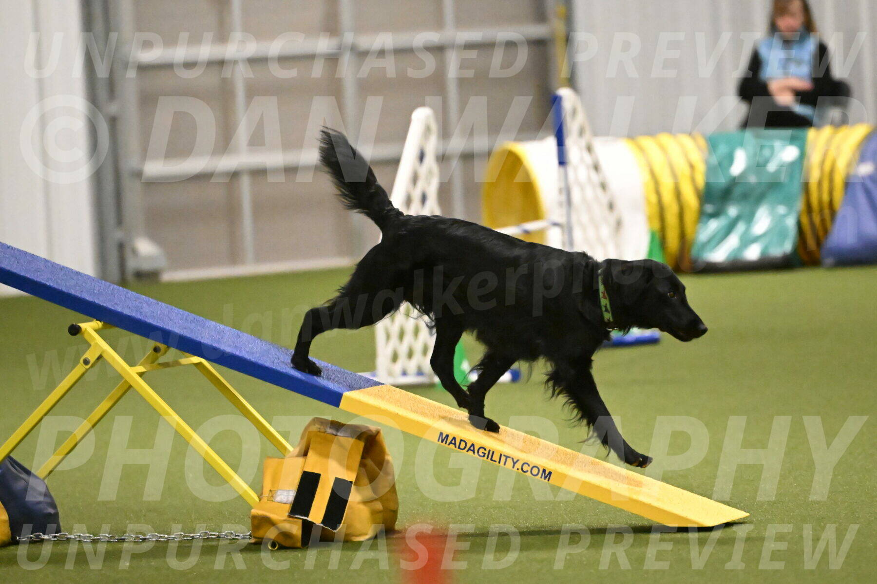 Zinnia-Deborah-Ting-03206