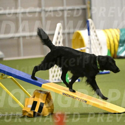 Zinnia-Deborah-Ting-03206