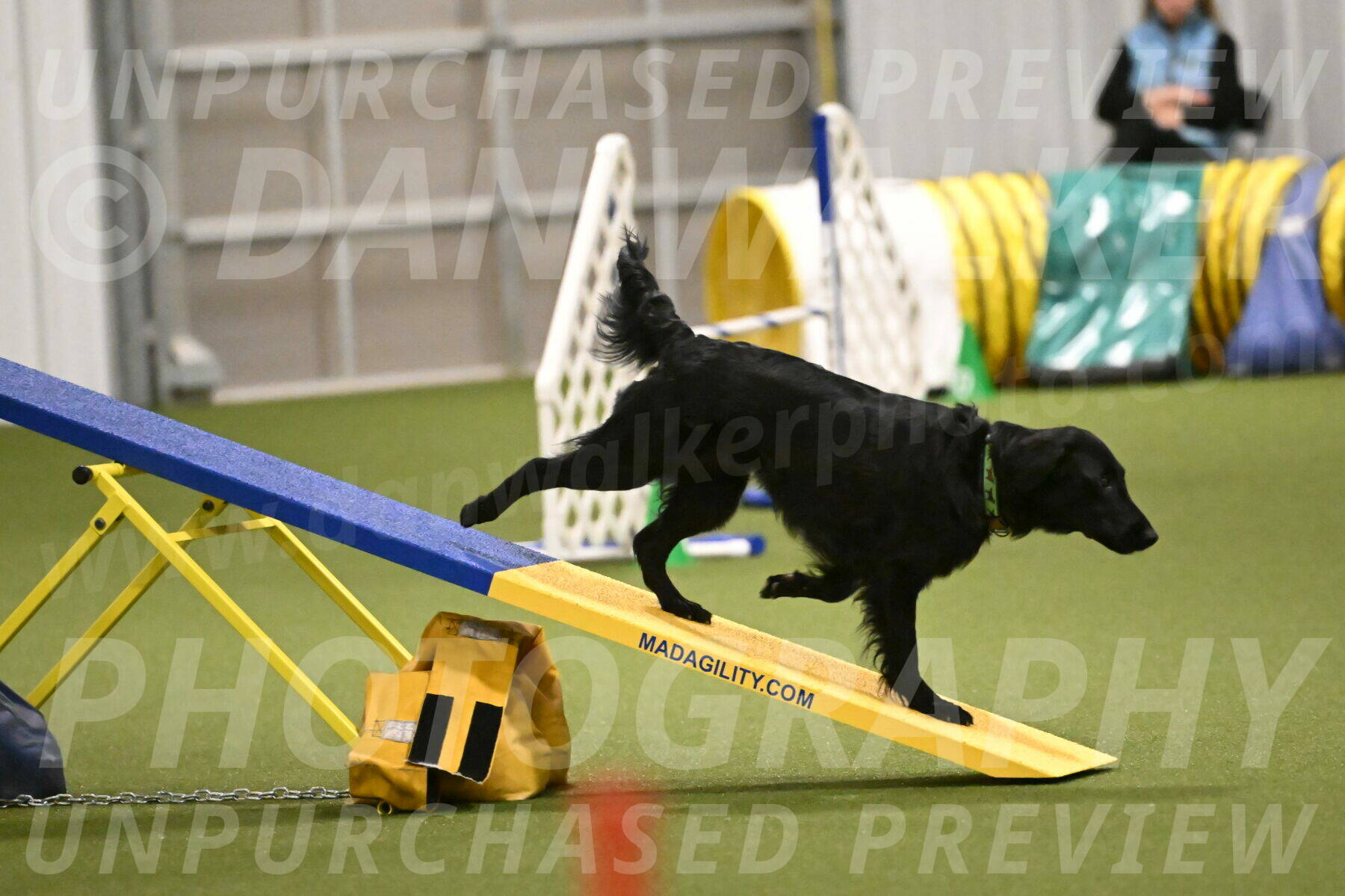 Zinnia-Deborah-Ting-03207