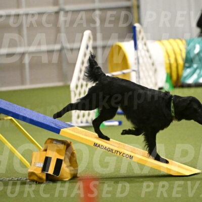 Zinnia-Deborah-Ting-03207