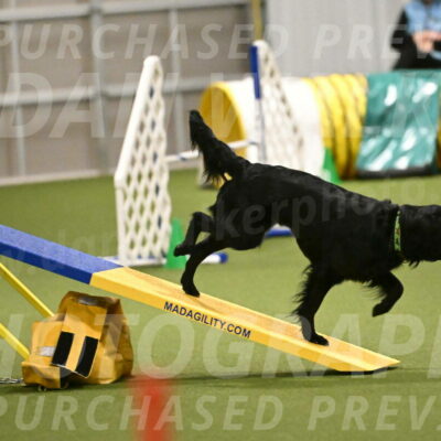 Zinnia-Deborah-Ting-03208