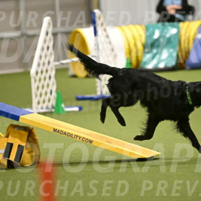 Zinnia-Deborah-Ting-03209