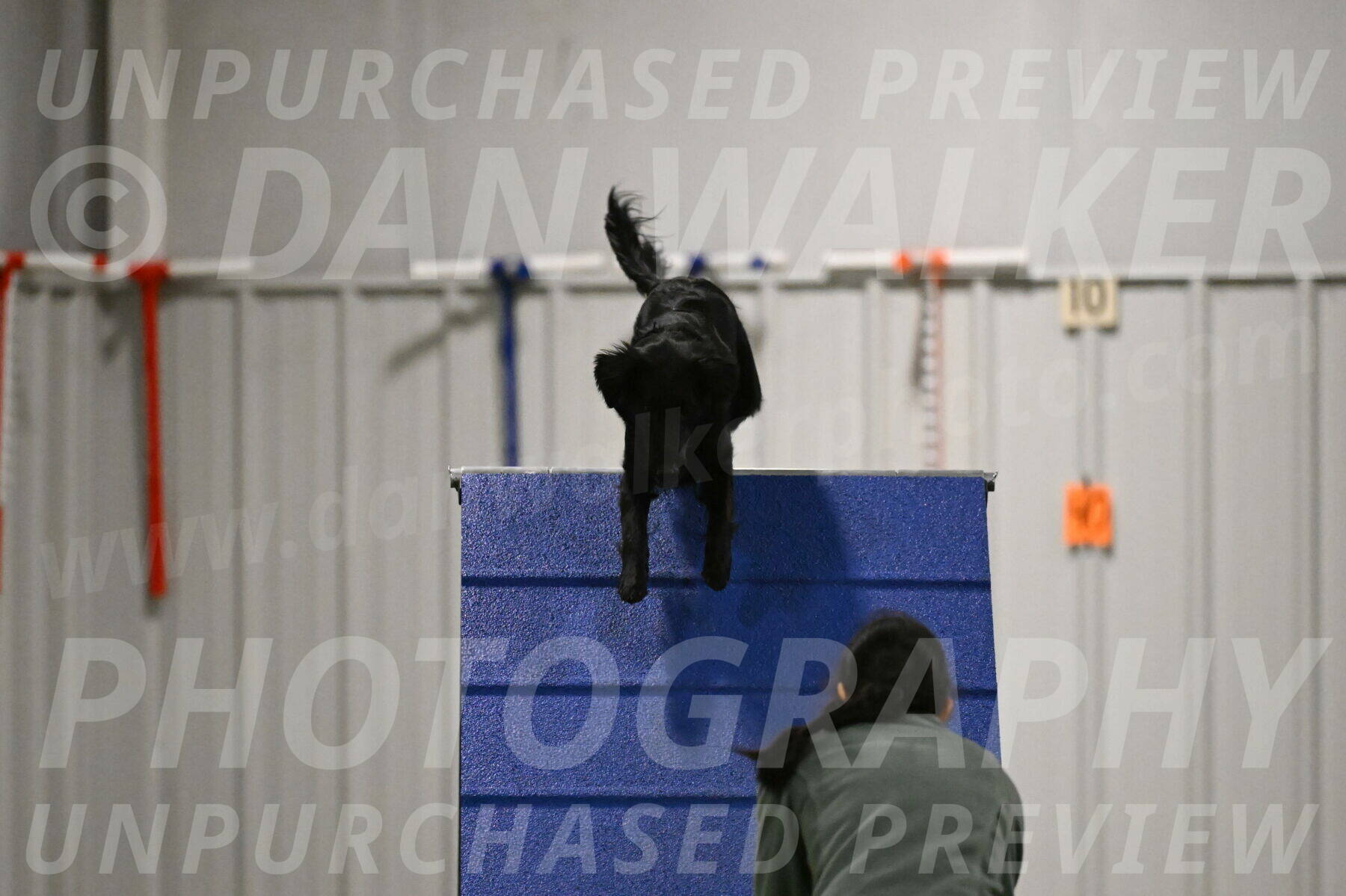 Zinnia-Deborah-Ting-03210