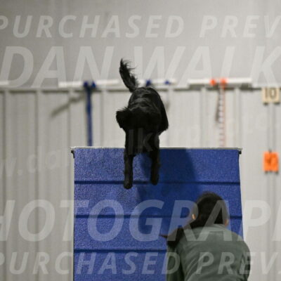 Zinnia-Deborah-Ting-03210