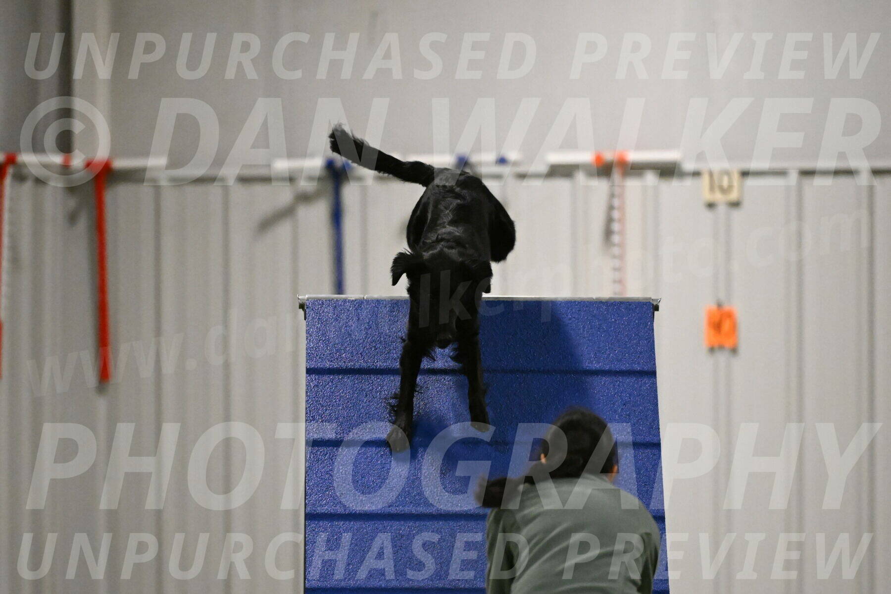 Zinnia-Deborah-Ting-03211