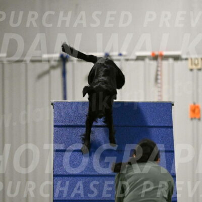 Zinnia-Deborah-Ting-03211