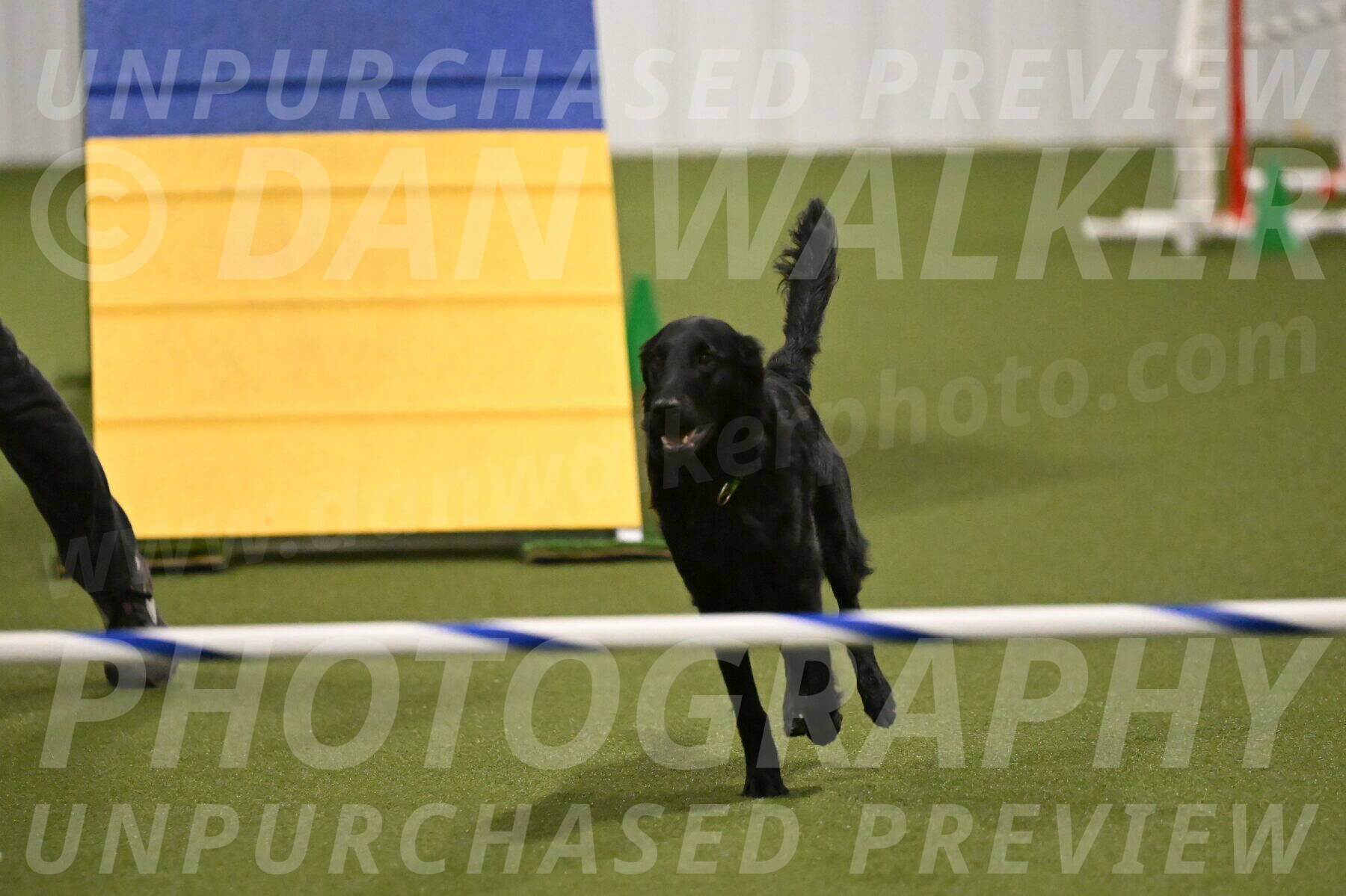 Zinnia-Deborah-Ting-03212