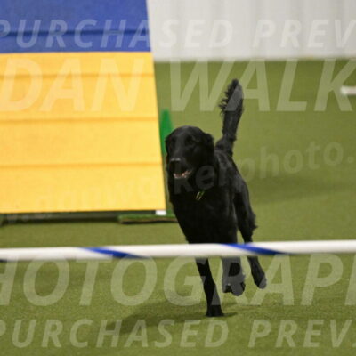 Zinnia-Deborah-Ting-03212