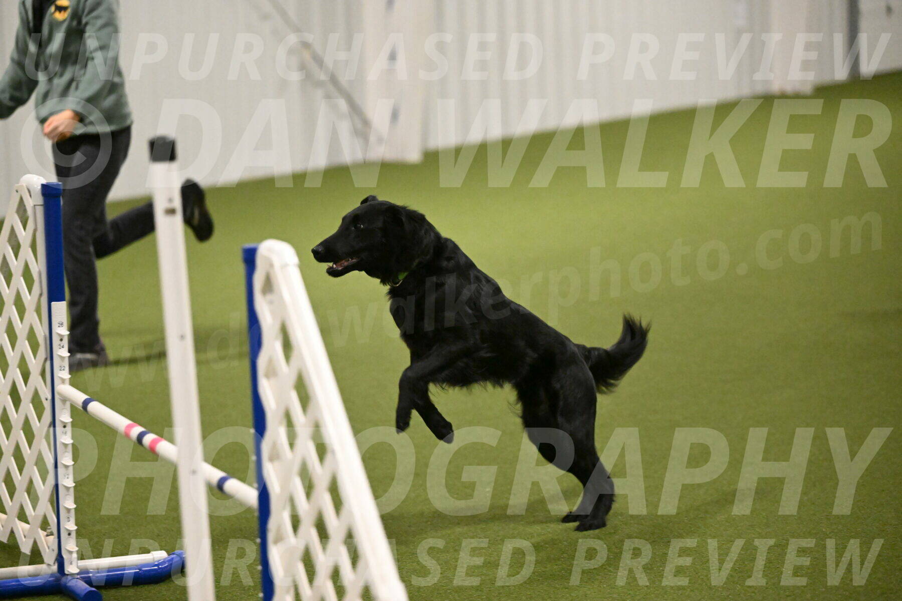 Zinnia-Deborah-Ting-03213