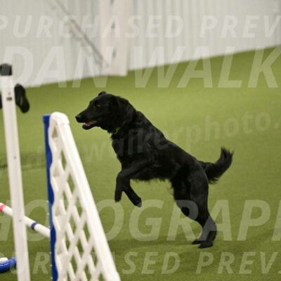 Zinnia-Deborah-Ting-03213