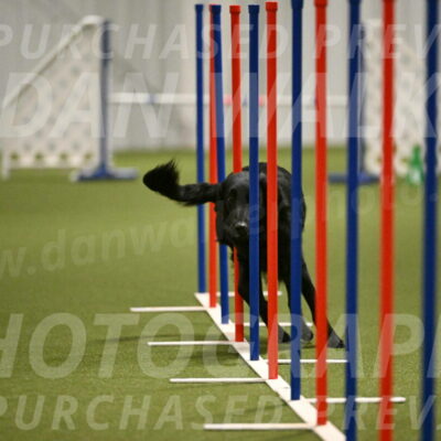 Zinnia-Deborah-Ting-03214