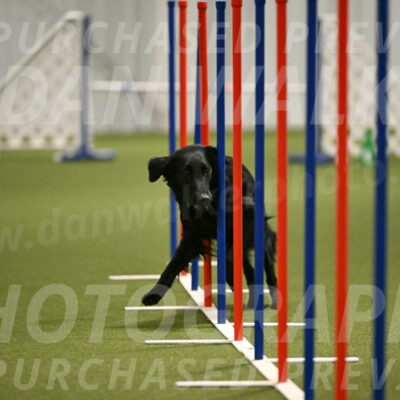 Zinnia-Deborah-Ting-03215