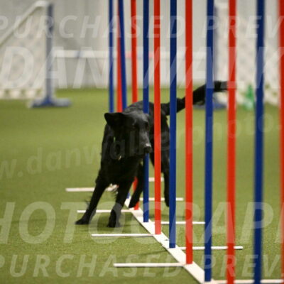 Zinnia-Deborah-Ting-03216