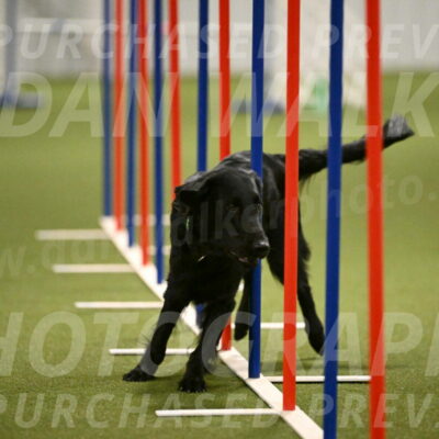 Zinnia-Deborah-Ting-03221