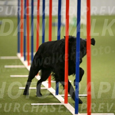 Zinnia-Deborah-Ting-03222