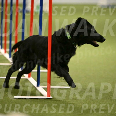 Zinnia-Deborah-Ting-03223