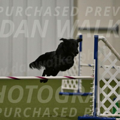 Zinnia-Deborah-Ting-03224