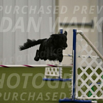 Zinnia-Deborah-Ting-03225