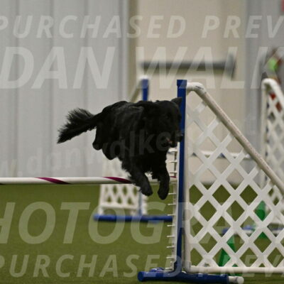 Zinnia-Deborah-Ting-03226