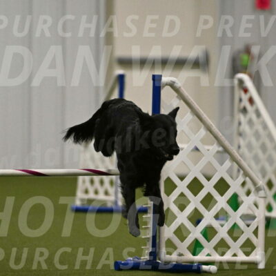 Zinnia-Deborah-Ting-03227