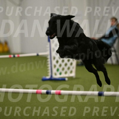 Zinnia-Deborah-Ting-03228