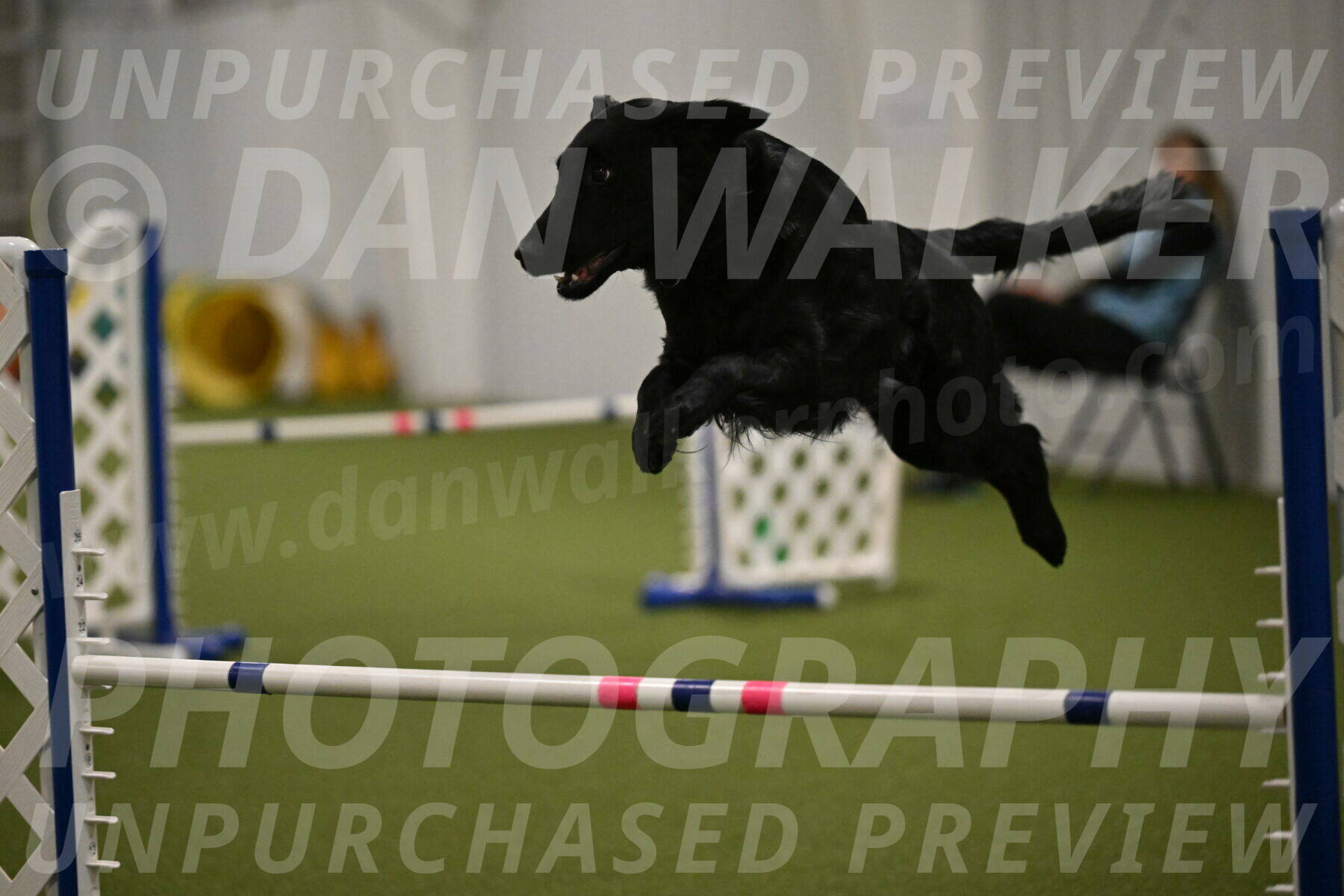 Zinnia-Deborah-Ting-03229