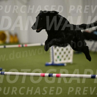 Zinnia-Deborah-Ting-03229