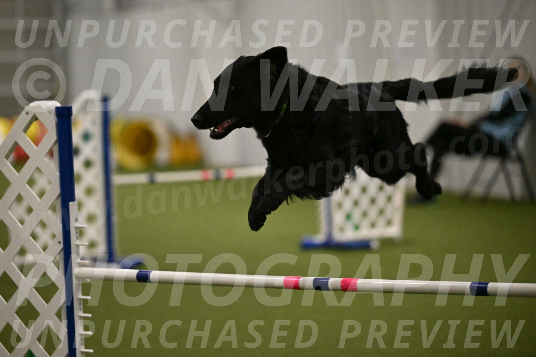 Zinnia-Deborah-Ting-03230