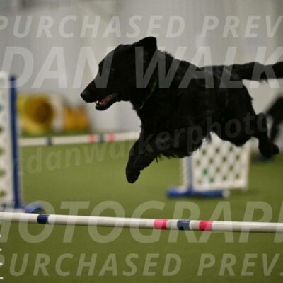 Zinnia-Deborah-Ting-03230