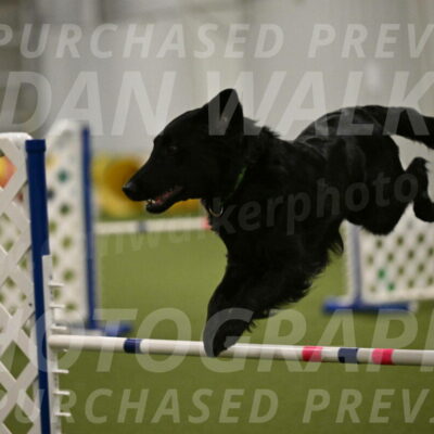 Zinnia-Deborah-Ting-03231