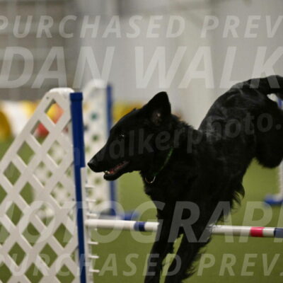 Zinnia-Deborah-Ting-03232