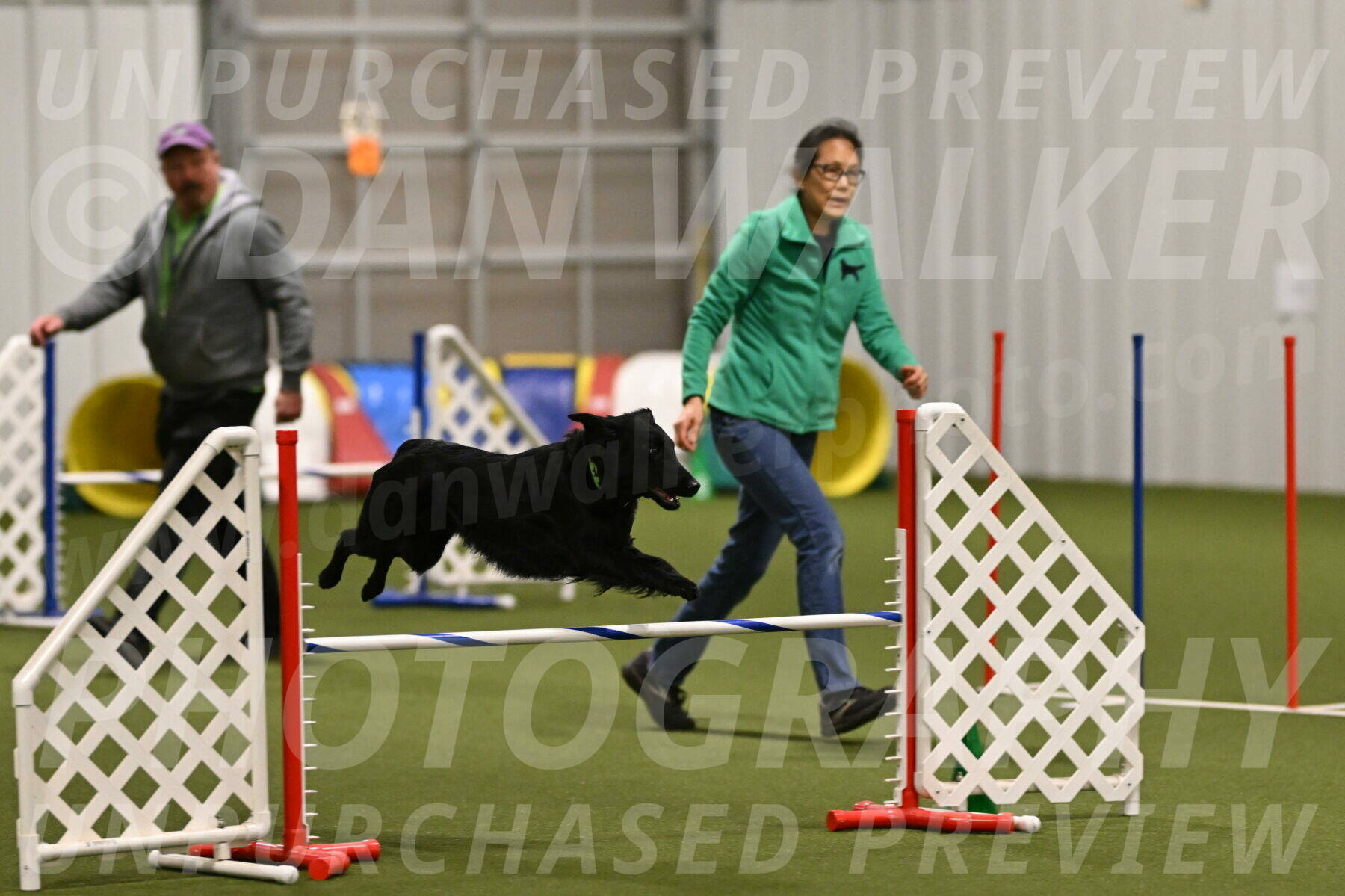 Zinnia-Deborah-Ting-03233